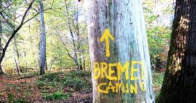 Michael Schildmann, Pilgerwerg